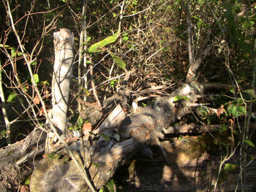 Sleeping Giant State Park