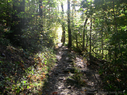 Sleeping Giant State Park is one of Connecticut's most iconic natural landmarks, located in Hamden, Connecticut 